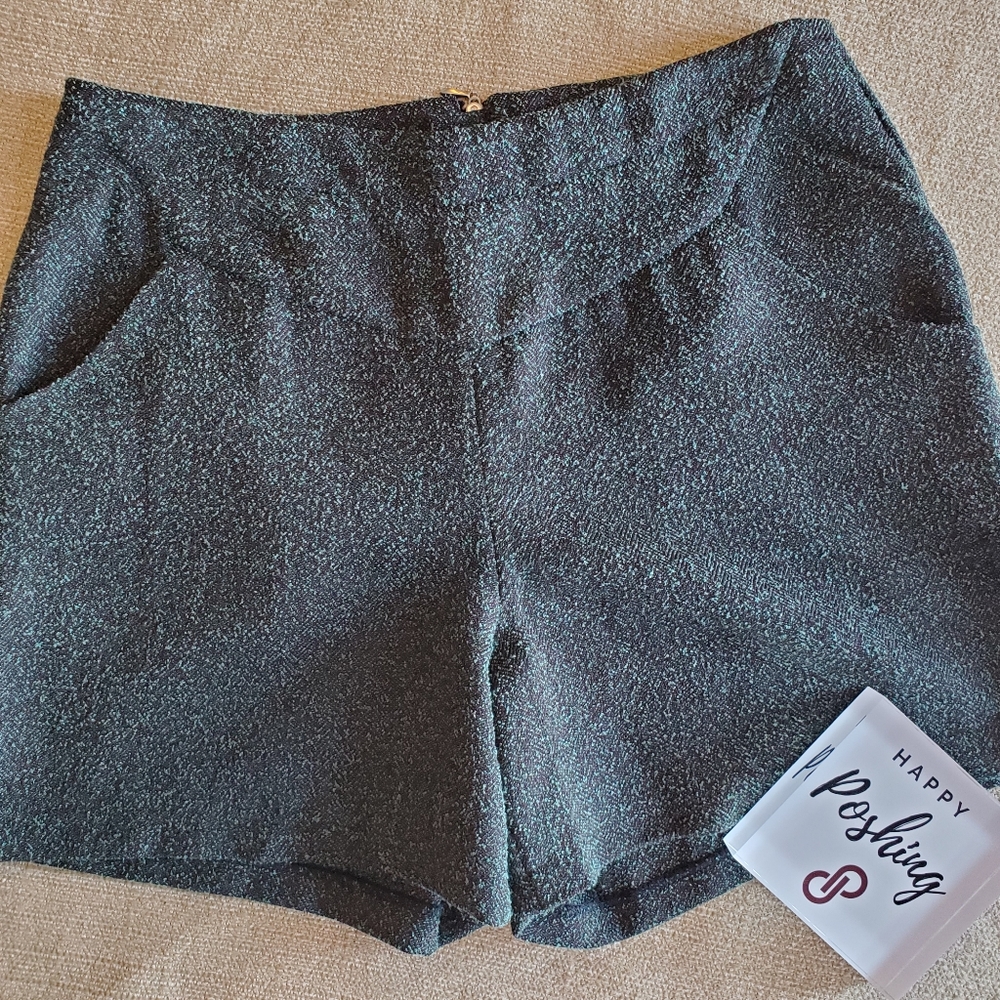 🆕️W118 by Walter Baker Rebecca Shorts